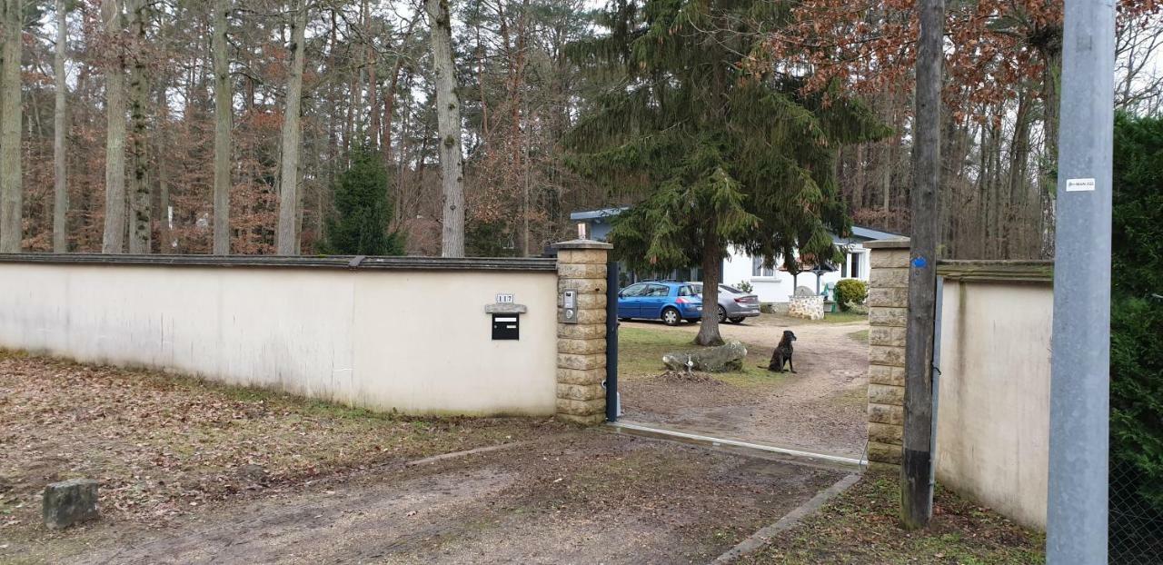 Etape Foret Fontainebleau Climb & Randonnees Arbonne-la-Foret Exterior photo